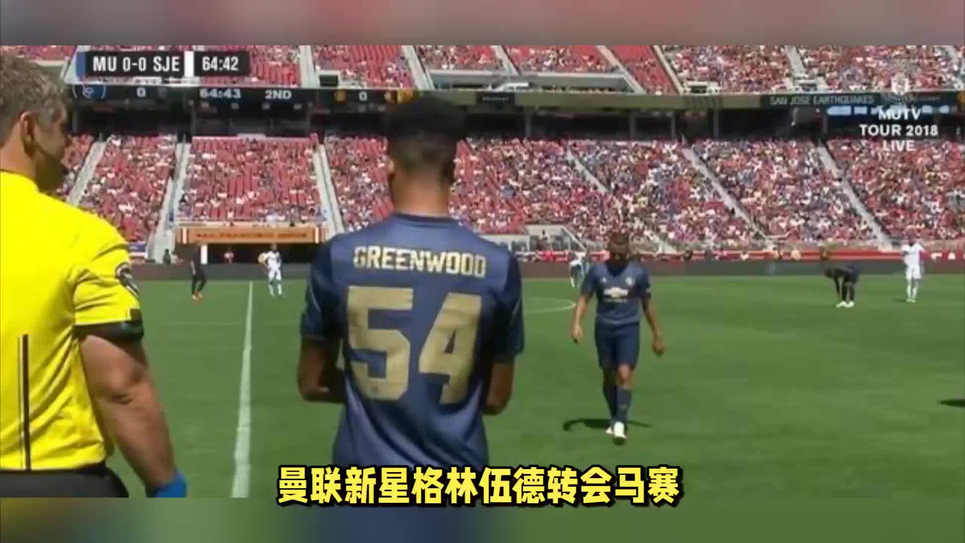 罗马丁内斯